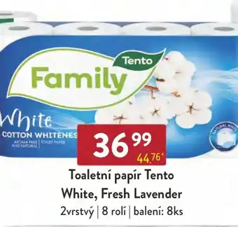 Qanto Toaletní papír Tento White, Fresh Lavender nabídka