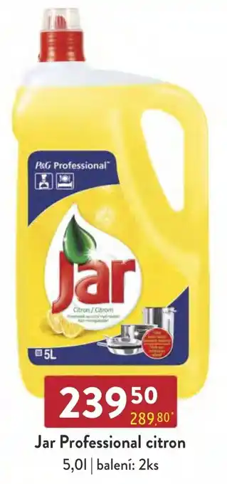 Qanto Jar Professional citron 5,0L nabídka