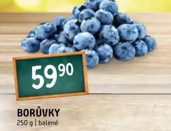 Terno BORŮVKY nabídka