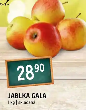 Terno JABLKA GALA nabídka
