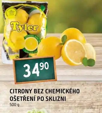 Terno CITRONY BEZ CHEMICKÉHO OŠETŘENÍ PO SKLIZNI nabídka
