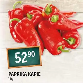 Terno PAPRIKA KAPIE nabídka