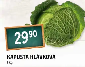 KAPUSTA HLÁVKOVÁ