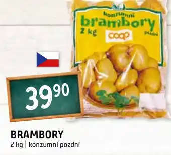 Terno BRAMBORY nabídka