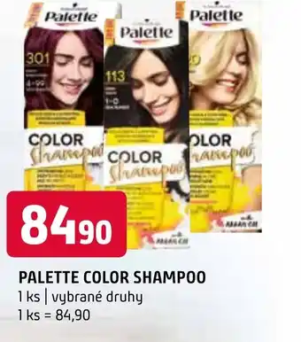 Terno PALETTE COLOR SHAMPOO nabídka