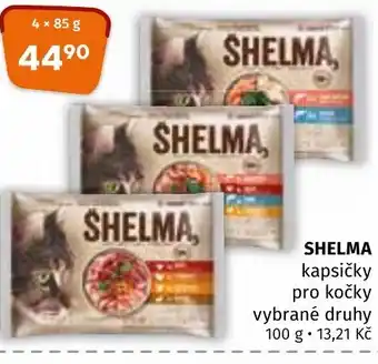 Terno SHELMA nabídka
