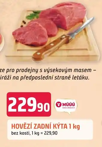 Trefa HOVĚZÍ ZADNÍ KÝTA 1 kg nabídka