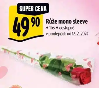 Albert Růže mono sleeve nabídka