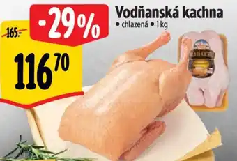 Albert Vodňanská kachna nabídka