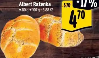 Albert Albert Raženka nabídka