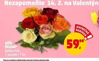 Penny Market Růže řezané nabídka