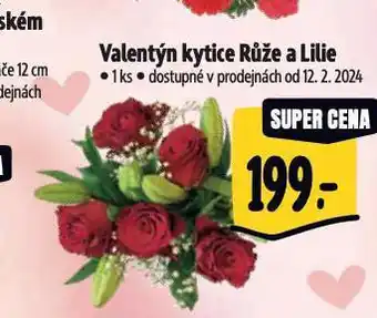 Albert Kytice nabídka