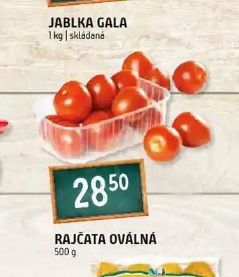 Terno Rajčata oválná nabídka