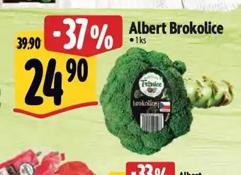 Albert Brokolice nabídka