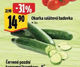 Albert Okurka salátová nabídka
