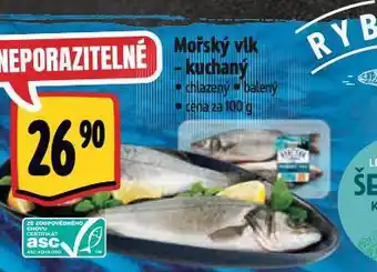 Albert Mořský vlk nabídka