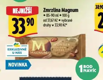 Albert Zmrzlina magnum nabídka