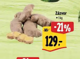 Albert Zázvor nabídka