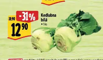 Albert Kedlubna nabídka