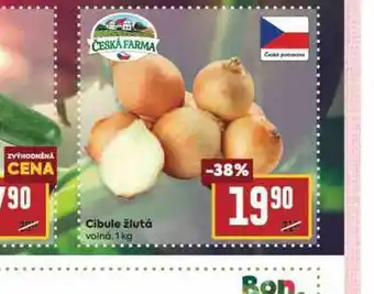 Billa Cibule žlutá nabídka