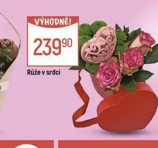 Globus Růže v srdci nabídka
