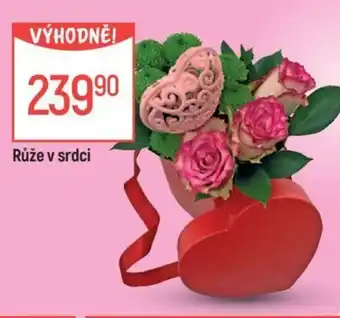 Růže v srdci