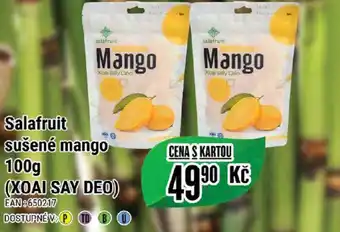 Tamda Foods Salafruit sušené mango 100g (XOAI SAY DEO) nabídka