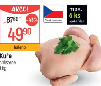 Globus Kuře nabídka
