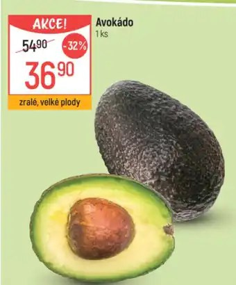 Globus Avokádo nabídka