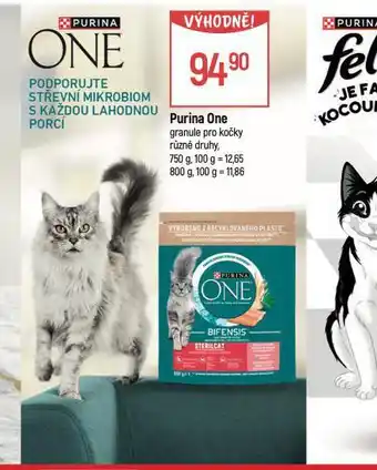 Globus Purina one granule pro kočky nabídka