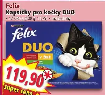 Norma Felix Kapsičky pro kočky DUO nabídka
