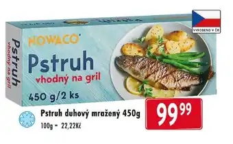 Qanto Pstruh duhový mražený 450g nabídka
