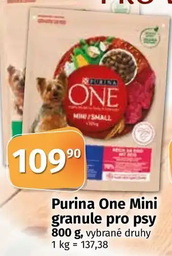 Purina One Mini granule pro psy 800 g