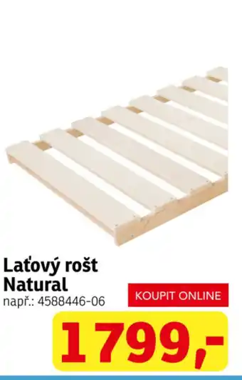 Asko Laťový rošt Natural nabídka