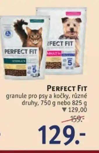 Rossmann PERFECT FIT granule pro psy a kočky nabídka