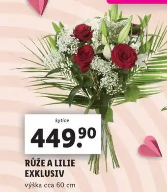 Lidl Růže a lilie exklusiv nabídka