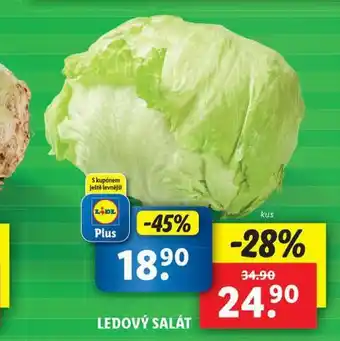 Lidl Ledový salát nabídka