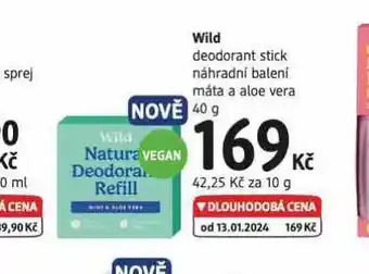 dm drogerie Wild deodorant stick nabídka