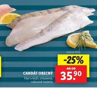 Lidl Candát obecný nabídka