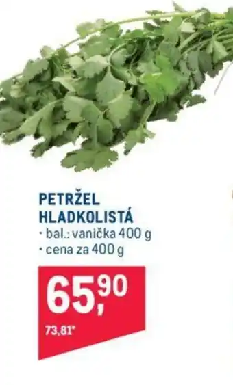 Makro PETRŽEL HLADKOLISTÁ nabídka