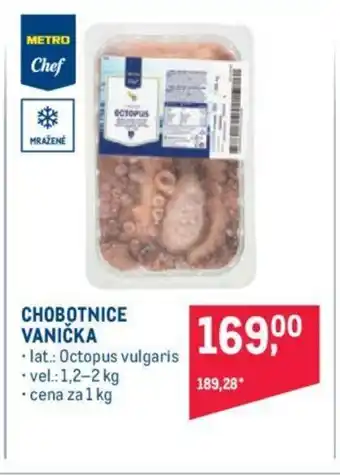 Makro CHOBOTNICE VANIČKA nabídka