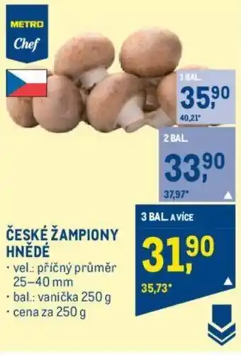 Makro ČESKÉ ŽAMPIONY HNĚDÉ nabídka