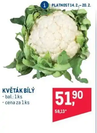 Makro KVĚTÁK BÍLÝ nabídka