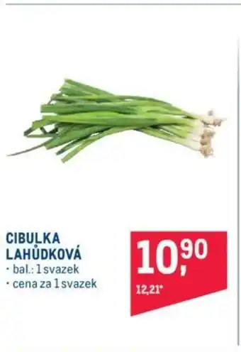 Makro CIBULKA LAHŮDKOVÁ nabídka