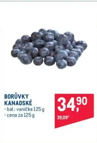 Makro BORŮVKY KANADSKÉ nabídka