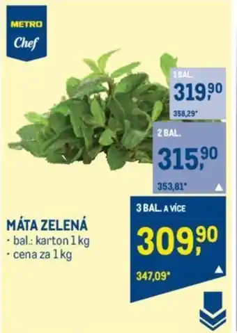 Makro MÁTA ZELENÁ nabídka