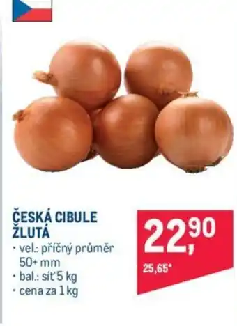 Makro ČESKÁ CIBULE ŽLUTÁ nabídka