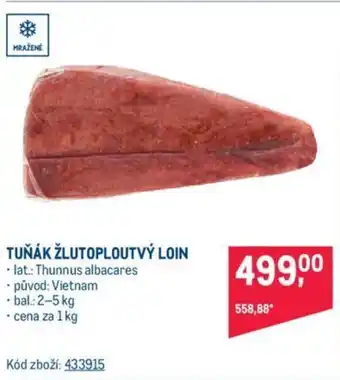 Makro TUŇÁK ŽLUTOPLOUTVÝ LOIN nabídka