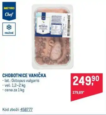 Makro CHOBOTNICE VANIČKA nabídka