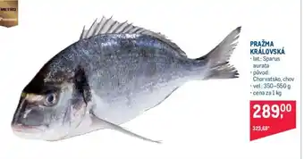 Makro PRAŽMA KRÁLOVSKÁ nabídka
